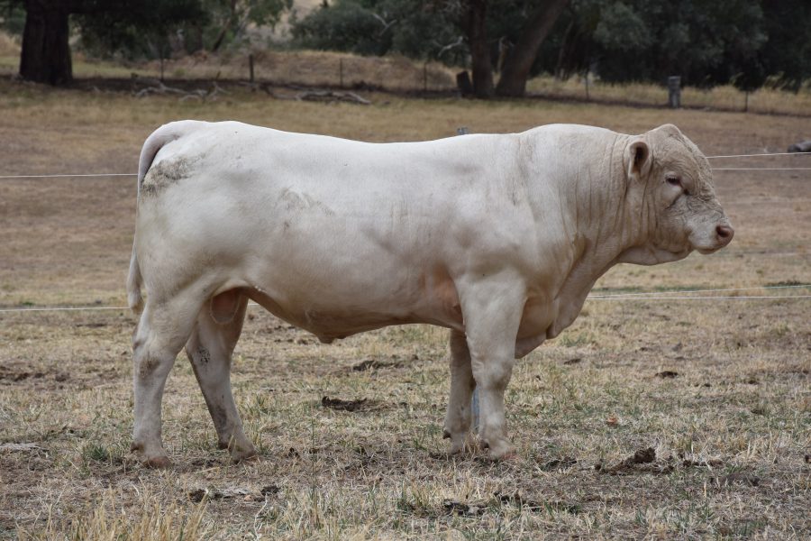 St Clair Rangan Patrick St Clair Rangan Patrick