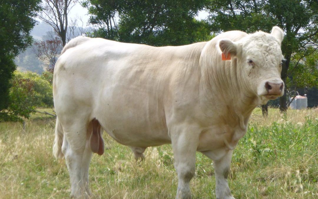 Welcome to our website